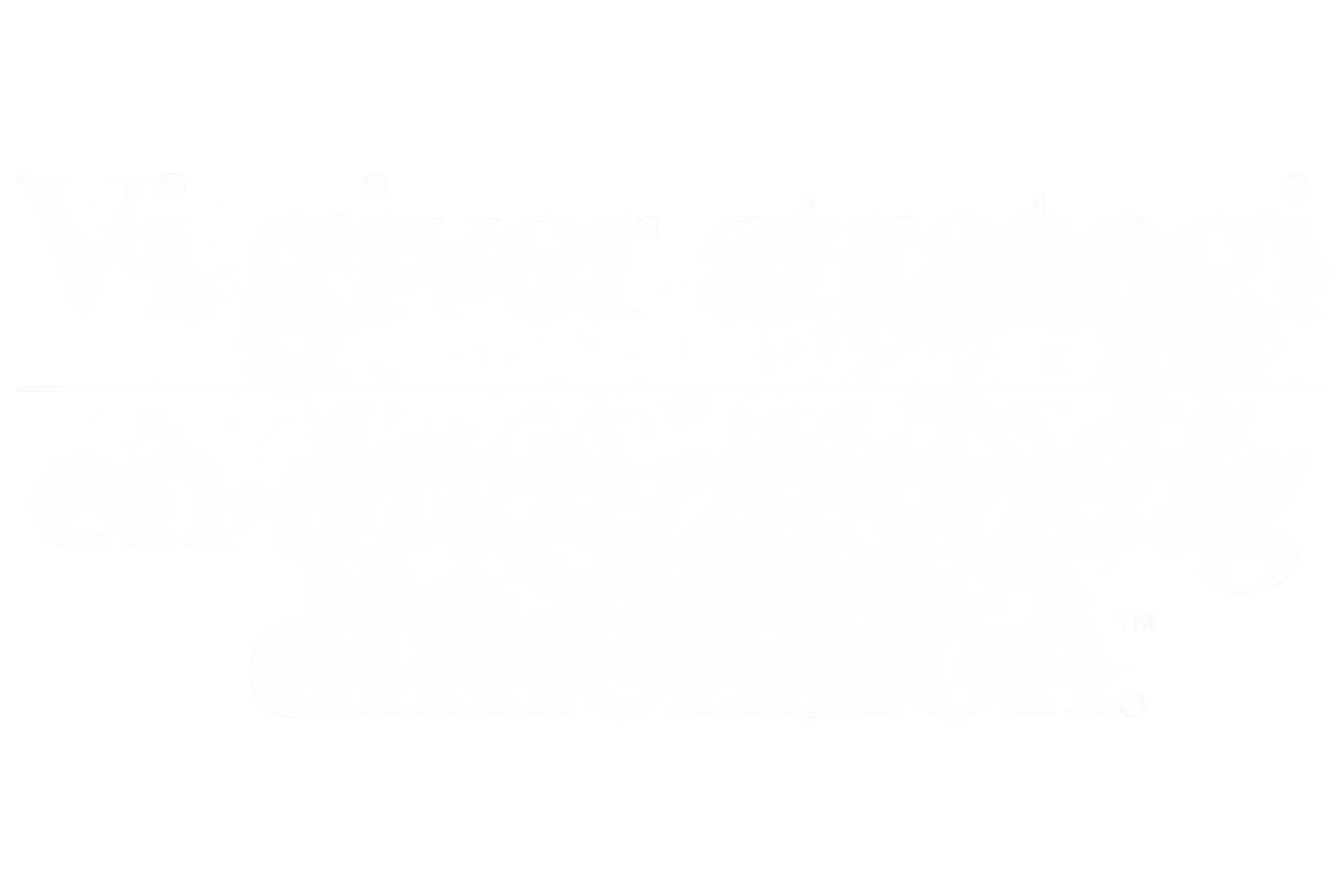 Vi giver strategi en menneskelig dimension &trade;